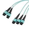 3xMPO8无引脚到2xMPO12无引脚，OM4 50 / 125um多模，LSZH护套，水蓝色，10米的图片