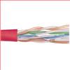 超5类UTP线缆，4对24AWG多股导线，红，1000英尺（305米）的图片